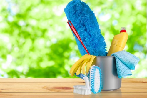 Carpet cleaning quote discussion in an Islington home