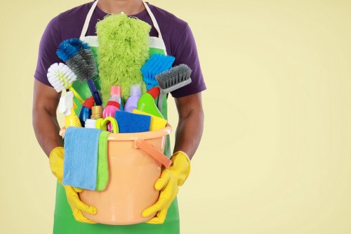 Professional carpet cleaner in Islington deep cleaning a living room carpet