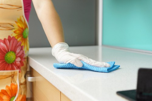 Professional oven cleaning in an Islington kitchen