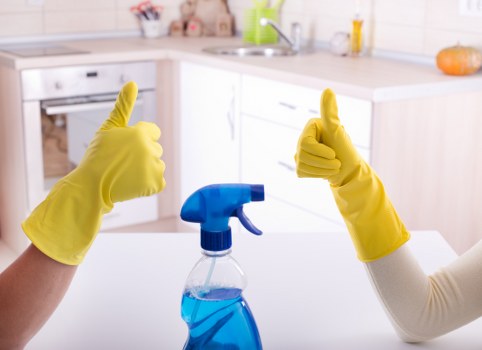 Professional home cleaners working in an Islington living room