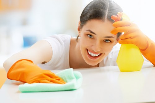 Professional carpet cleaning service in an Islington home