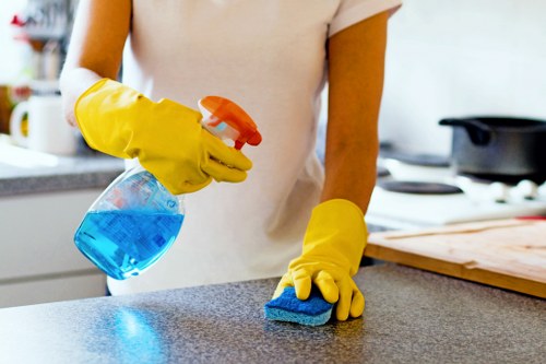 Deep cleaning in Islington targeting hidden dirt and dust in living spaces