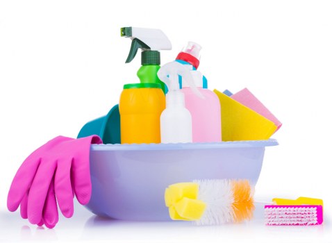 Upholstery and carpet care service overview with cleaning tools