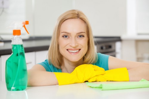 Domestic cleaner vacuuming a flat in Islington