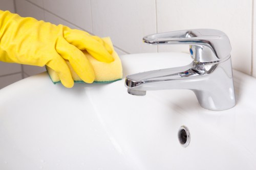 Domestic cleaning service in Islington for period and apartment properties