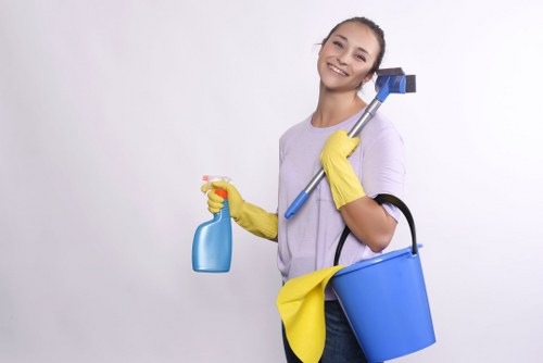Risk assessment being completed before carpet cleaning service