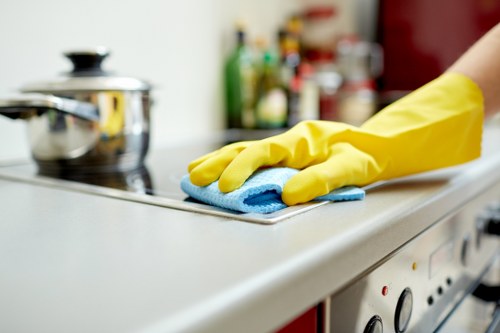 Housekeeping service for a modern Islington apartment