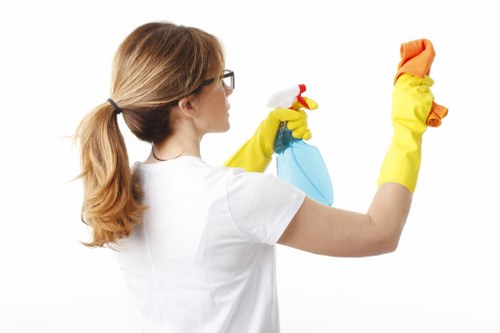 Service review discussion for a carpet cleaning issue