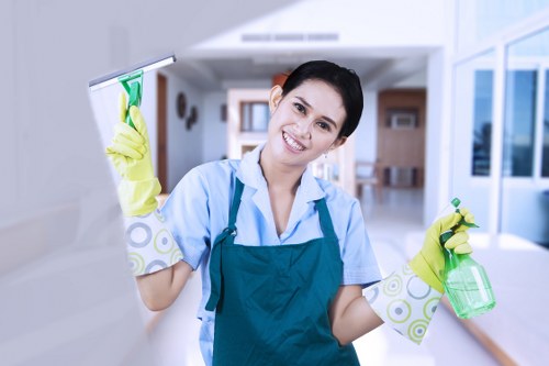 Kitchen deep cleaning for tenancy move out in Islington