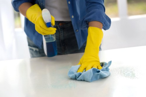 Eco-friendly oven cleaner in Islington restoring a range cooker to a spotless finish