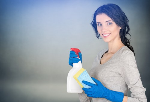 Professional exterior cleaning for residential and commercial façades